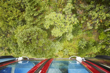 Looking down on a forest from cable car.