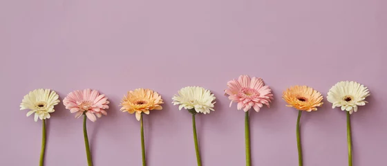 Photo sur Plexiglas Gerbera Spring composition from fresh fragrant gerberas on a pink paper background