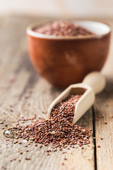 Healthy quinoa seeds