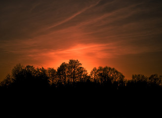 Evening sunset with silhouette of a forest and tree tops. Nice lights and glow. Small clouds