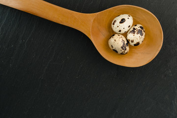 Quail eggs in wooden spoon on black stone background. Organic product.
