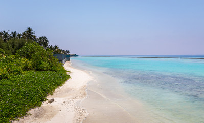 Blue lagoon and tropical island in Maldives