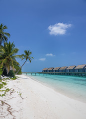 Fototapeta na wymiar Unique beauty of blue lagoon in Maldives
