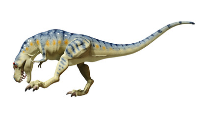 3D Rendering Dinosaur Tyrannosaurus on White