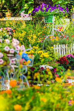 In cozy home garden on summer./ Vintage white bike and flowerpot in cozy home flowers garden on summer.  