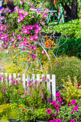 In cozy home garden on summer./ Vintage white bike and flowerpot in cozy home flowers garden on...