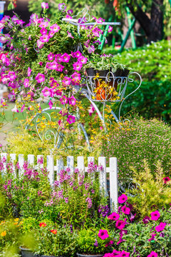 In cozy home garden on summer./ Vintage white bike and flowerpot in cozy home flowers garden on summer.  