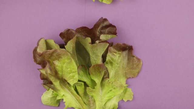 Various vegetables on a  purple background, motion