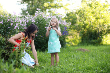 Obraz premium Vegetable garden - lovely gardener with bunch of carrot