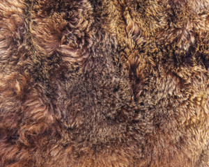 texture of brown bear fur.