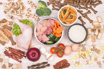 Healthy food for dogs