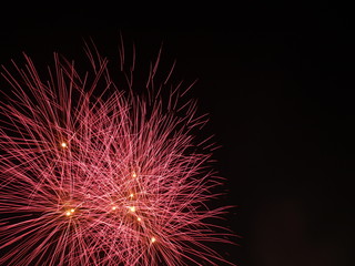 Obraz premium Fireworks display new year 