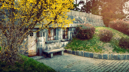 Old abandoned stone underground house, utility rooms. Springtime.