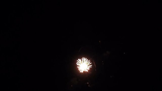 Holiday Fireworks in the Night Sky