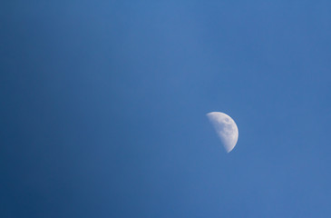 half moon on clear blue sky in evening of winter time