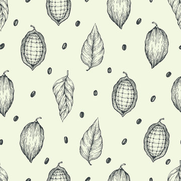 Cocoa beans vector seamless pattern. Engraved vintage style illustration. Chocolate cocoa beans.
