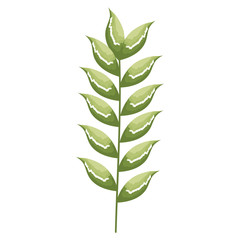 tropical leaf palm icon vector illustration design