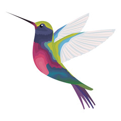 cute hummingbird flying icon vector illustration design © Gstudio