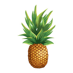 Fototapeta premium tropical and exotic fruit vector illustration design