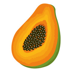 tropical and exotic papaya fruit vector illustration design