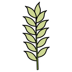 tropical leaf palm icon vector illustration design