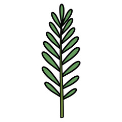 tropical leaf palm icon vector illustration design