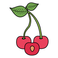 delicious cherry isolated icon vector illustration design