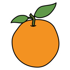 tropical and exotic passion fruit vector illustration design