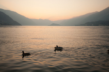 Amazing lake Lago di Como.