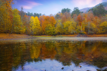 Fototapeta na wymiar Beautiful Nature with Autumn Colors