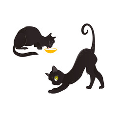 Vector cartoon black cat animals set. Funny flat domestic pet different poses drinking from cat bowl playing stretching. Cute character halloween holiday symbol. Isolated illustration white background