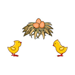 vector cartoon hand drawn yellow colored small chicks and brown egg in hay nest. Isolated illustration on a white background. Farm poultry chicken objects for advertising, poster design