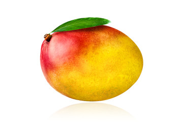 Mango fruit isolated on white background with drop shadow.
