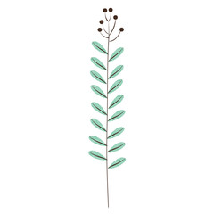 branch with leafs plant ecology icon vector illustration design