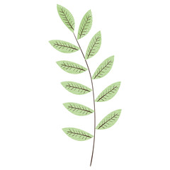 tropical leaf palm icon vector illustration design