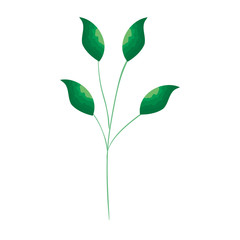 branch with leafs plant ecology icon vector illustration design