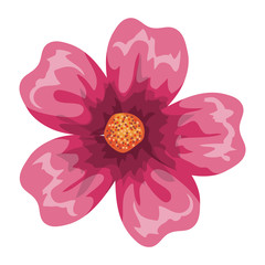 tropical and exotic flower decorative vector illustration design