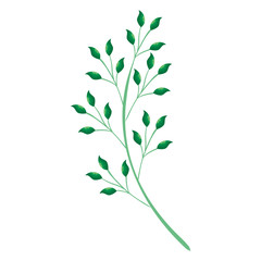 Naklejka premium branch with leafs plant ecology icon vector illustration design