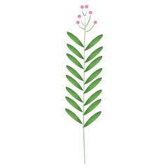 branch with leafs plant ecology icon vector illustration design
