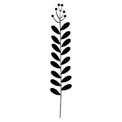 branch with leafs plant ecology icon vector illustration design