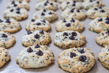 Chocolate chip cookies on tray after take off oven when finished baked