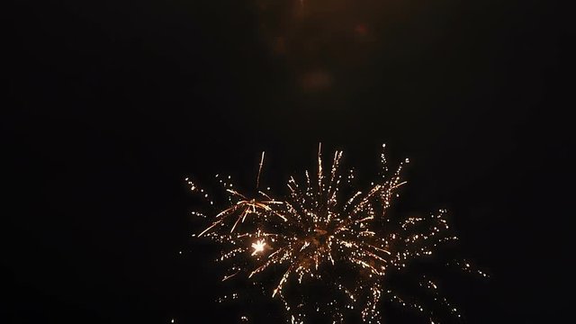 Fireworks in the Night Sky