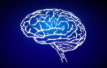 An illustration of a human brain on a colored background symbolising intelligence, mental health and creative thinking.