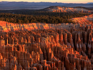 Bryce Canyon National Park in the Morning Sunrise, Utah