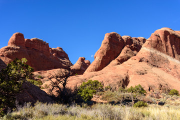 Fototapeta premium View of The Devils Garden, Arches National Park, Moab, Utah