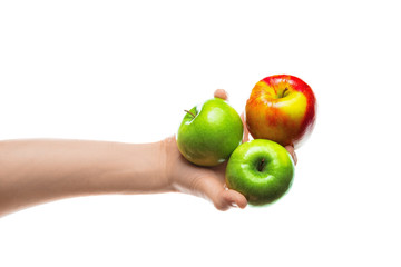 Man holding bunch of red and green apples in his hand. Isolated on white background. 