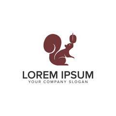 squirrel and nut logo design concept template. © Saiful