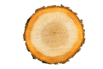 Rough (chainsaw) cut wood slice isolated on a white background.