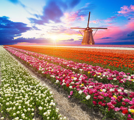 The road leading to the Dutch windmills from the canal in Rotterdam. Holland. Netherlands