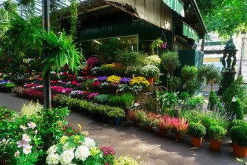 Paris flower market